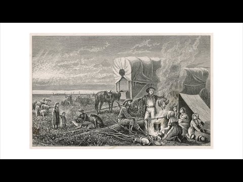 AncestralFindings video/presentation/materials