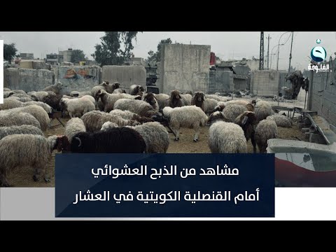 شاهد بالفيديو.. مشاهد من الذبح العشوائي أمام القنصلية الكويتية في العشار