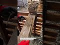 Manual Rebar Bending Hack Using Nails – Fast & Precise! #Rebar #Construction #DIY