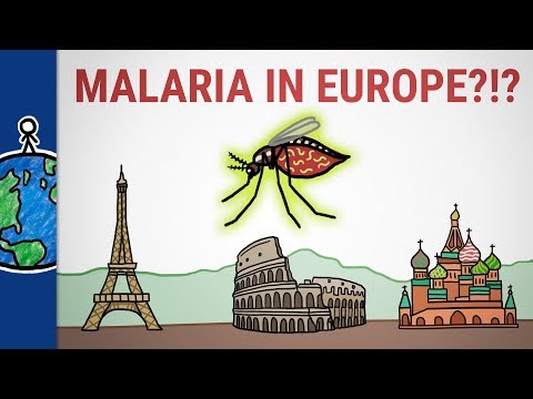 Plasmodium malária fejlődési ciklus röviden