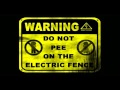 Damon Albarn - Electric fences 
