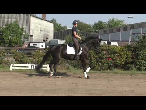 Secret Love - Aug 2022