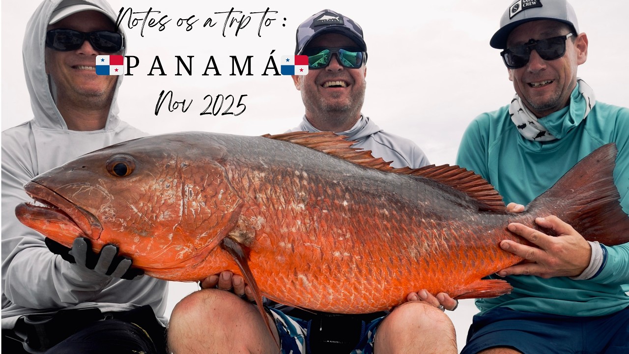 Panama fishing expedition video Cubera Roosterfish November 2025