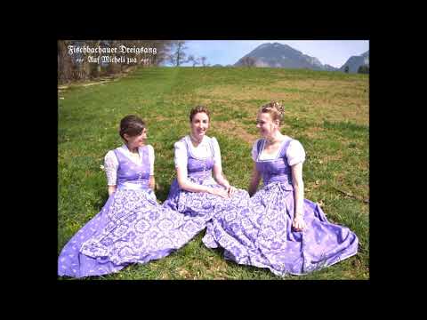 Fischbachauer Dreigsang / Boarische Almmusi - Auf Micheli zua (Live)