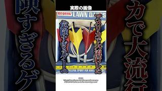 【販売禁止】子どもが投げた〇〇で少女が死亡…アメリカで大流行した『危険すぎるゲーム』とは！？ #shorts