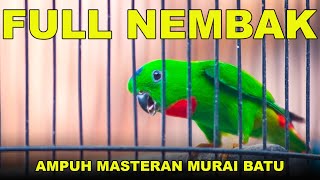 Download lagu Burung Serindit Nembak Tajam Pikat Emosi Semua Burung #serindit #masteran mp3