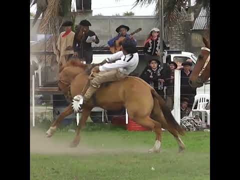 Monta en basto Sebastian Farias en Colonia Mascias Santa Fe