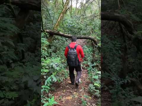Trilha no Parque das Nações Arapongas PR DJI Neo2