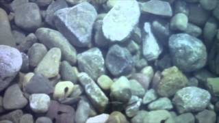 Gen Ken Montgomery - Ende Tymes 2015