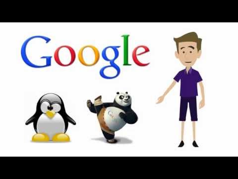 SEO Company Perth - Call 1300 665 392