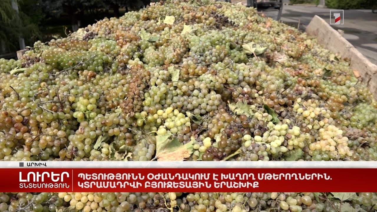 Պետությունն օժանդակում է խաղող մթերողներին. կտրամադրվի բյուջետային երաշխիք