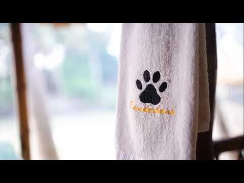 Hetalbon Eco Resort Sundarbans