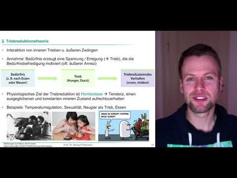 7 Motivationstheorien - Auf der Suche nach dem Motor unseres Verhaltens (Motivationspsychologie 2)