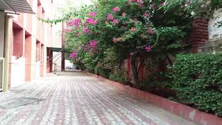 KIIT World School Video
