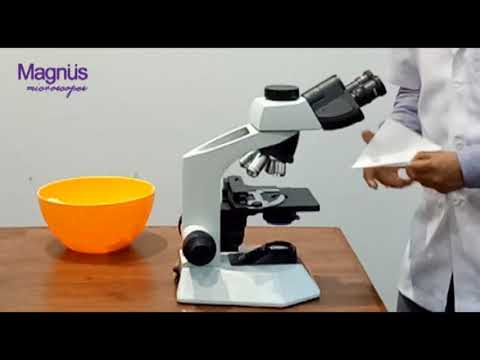 Olympus Magnus Microscope