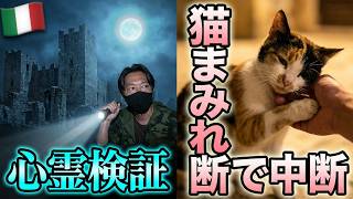 最強の恐怖 霊が横を徘徊 中世の廃墟 突入‼ 震えていると三毛君(猫)登場でつきまとわれ撮影断念💦可愛すぎて🐈
