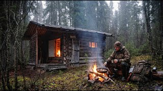 Off Grid Living in a Hidden Forest Log Cabin