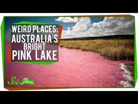 download lagu mp3 mp4 Australia Wikipedia Romana, download lagu Australia Wikipedia Romana gratis, unduh video klip Australia Wikipedia Romana