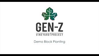 Gen-Z Vineyard Project: Planting Cabernet Sauvignon Vines at Muratie Wine Estate
