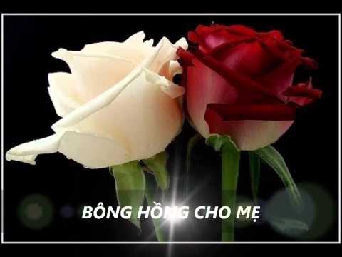 Bông hồng cho mẹ - Diệu Hiền