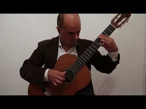 Ariel Lopez Saldivar - Las Abejas (Agustín Barrios)