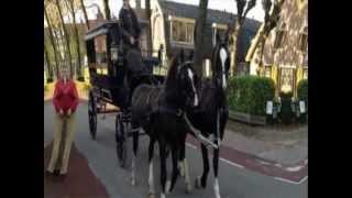 preview picture of video 'koetstocht St. Maartensdijk 11-11-2012'