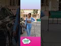 Neha Sharma Hot Figure In Gym Tight Dress