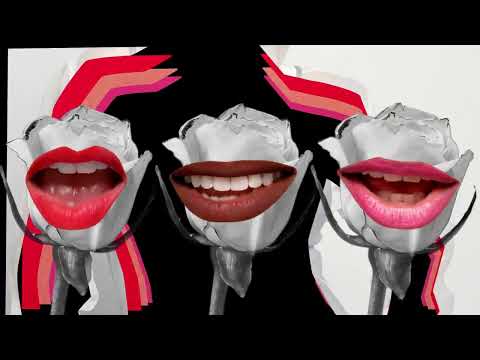 Questions - Say She She