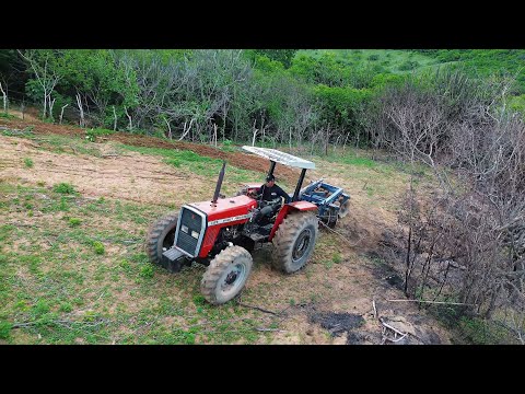 Trator MF283 traçado gradeando a terra na serra de Araruna pb e divisão com São Bento em