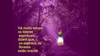 O teu, o meu, o nosso, por Cristine Takuá