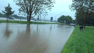 Download the video "Dresden Hochwasser 4.Juni 2013 Aufnahme 1 Carolabrücke"