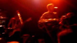Rogue Wave - Bird On A Wire