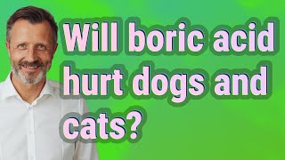Will boric acid hurt dogs and cats?