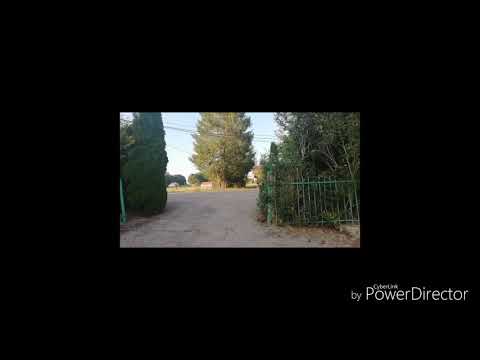 Le monstre attaque mon frère