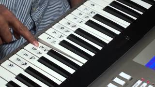Pedave Palikina how to play on keyboard part 1