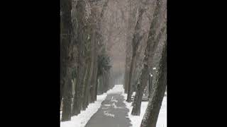 Video Love my science - hundred flowers