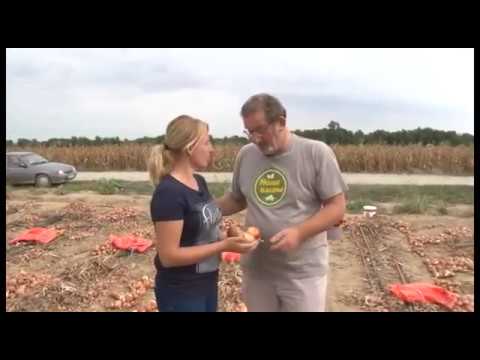 Naše imanje - Epizoda 2, Radenković