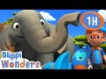 Blippi Learns About Elephants Animals For Kids Animal Cartoons Funny Cartoons