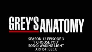 Grey&#39;s Anatomy S12E03 - Waking Light by Beck