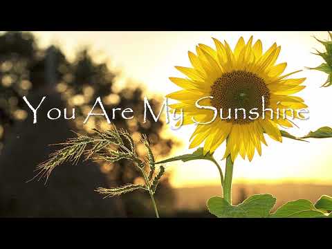 You Are My Sunshine - Lullaby Song (1 Hour Relaxing Sleep Music) Cover By Jemma Johnson