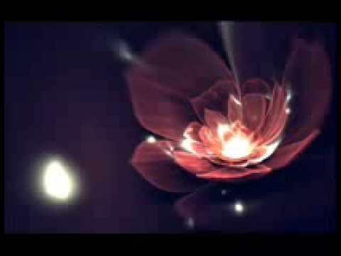 beautiful quran recitation 60.El-Mumtehine Sheyx Duleymi