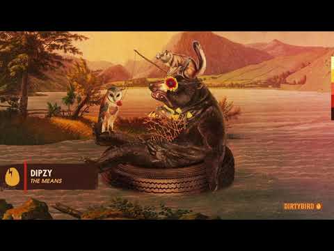 Dipzy - The Means [DIRTYBIRD]