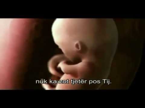 Mrekullia e Krijimit te Njeriut