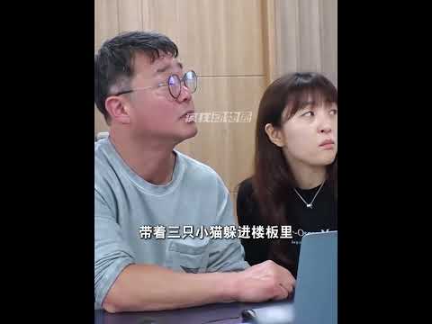 猫妈妈为了救自己的孩子，被困7天7夜！ #母爱 #流浪猫 #感人 #猫咪 #动物也有爱