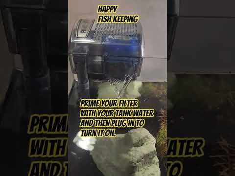 Fluval AC 20 Unboxing & how to install #fluvalac20 #fluvalac30 #fluval #aquariumfilter #fishkeeping