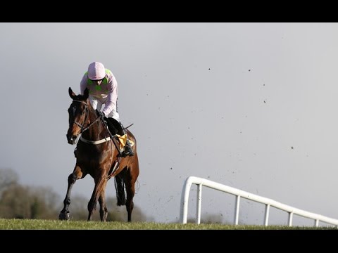 Douvan- 2016 Punchestown Novice Chase- Build Up, Race and Reaction