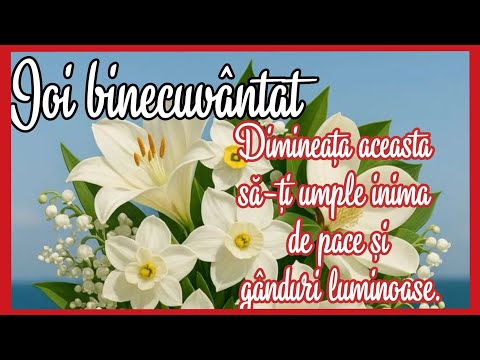 Zâmbet de joi dimineață 🌺