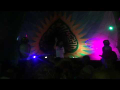 Perfect Specimen Project @ Orbital Open Air 2016