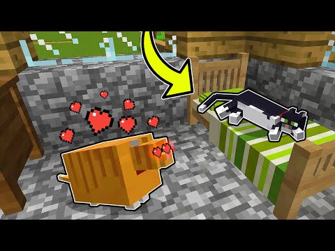 A MACSKÁM KORMI SZERELMES LETT A MINECRAFT-BAN?! 😱💖