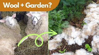 3 Ways to Use Wool In The Garden or Greenhouse